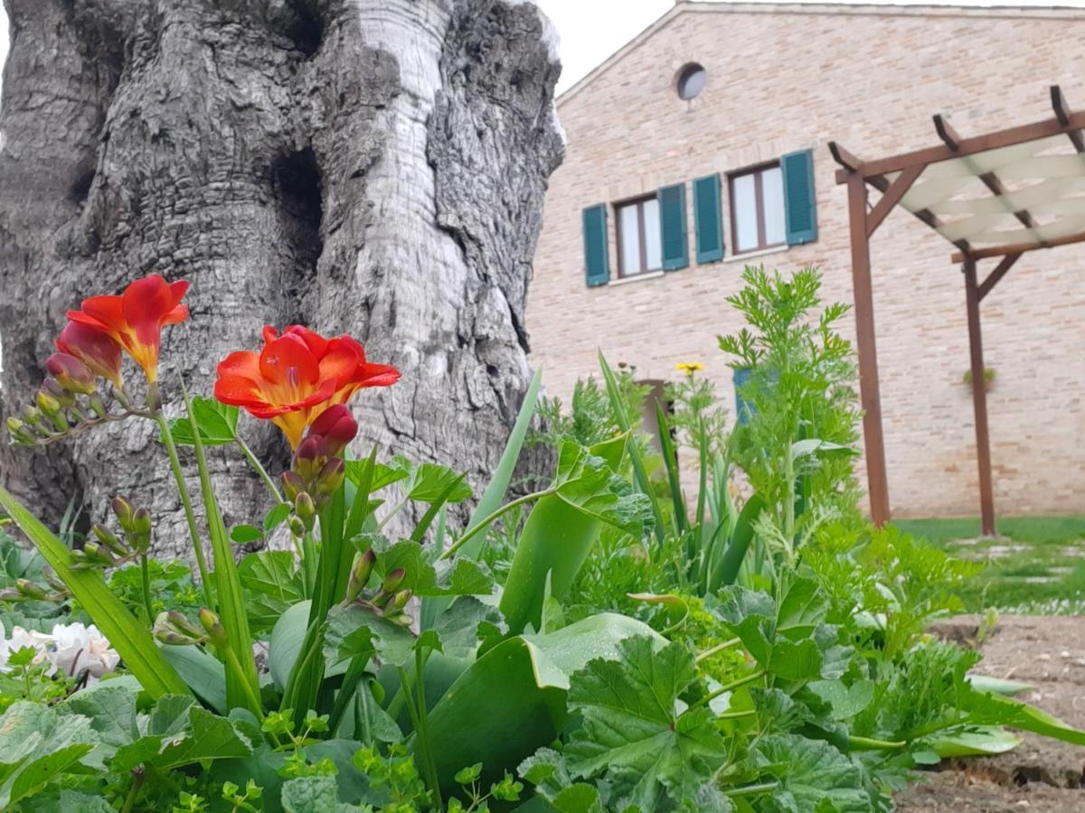 אפרטהוטל פורטו רקנאטי Casale Del Conero מראה חיצוני תמונה